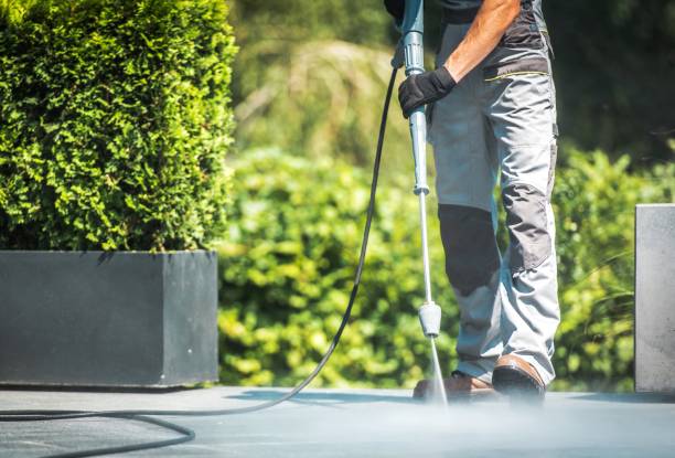 Best Graffiti Removal Services in Pineland, TX